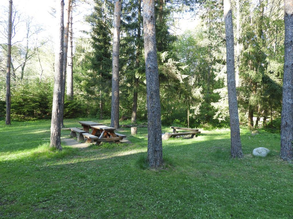 Chata Dasa High Tatras Mlynceky Экстерьер фото